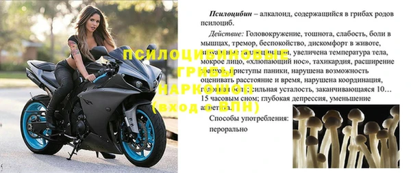 СК Зеленодольск
